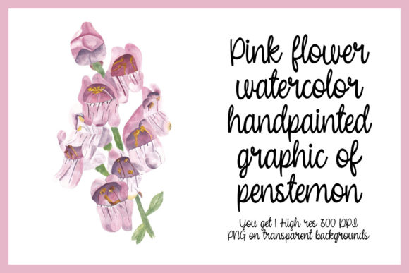 Pink Flower Watercolor Floral Botanical: A Delicate and Versatile Illustration
