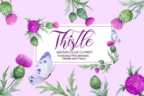 Thistle Watercolor Clipart and Floral Frame: A Versatile Tool for Creative Projects